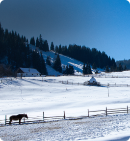 Gulmarg